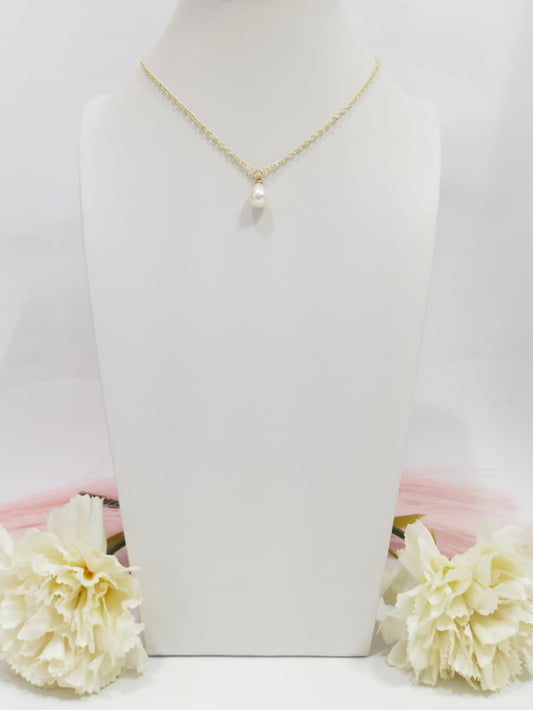 Collier de dos double