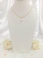 Collier de dos #700