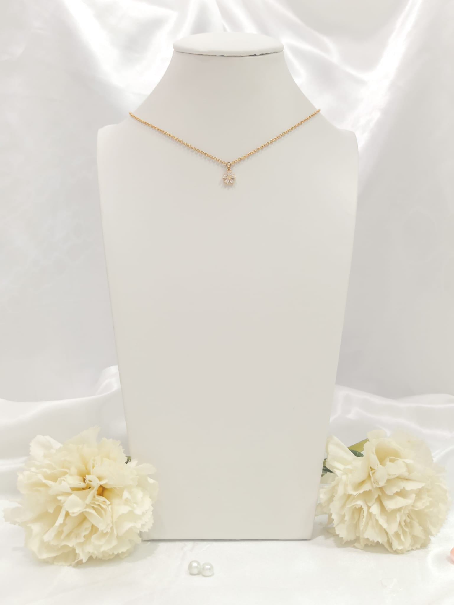 Collier de dos #717
