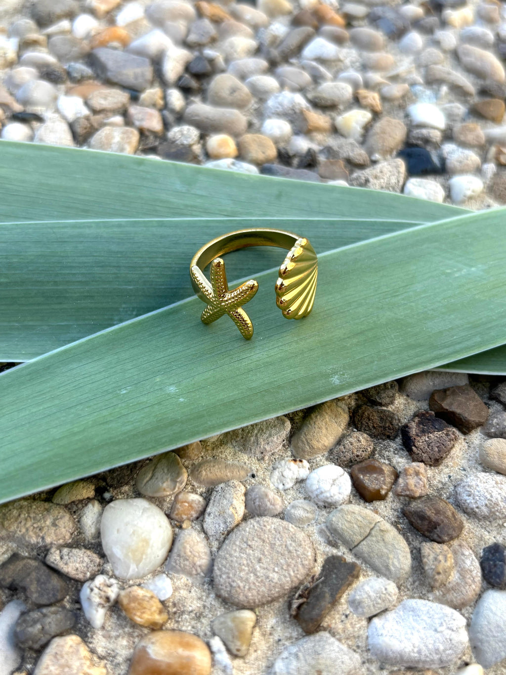 Bague coquillage et étoile de mer ajustable