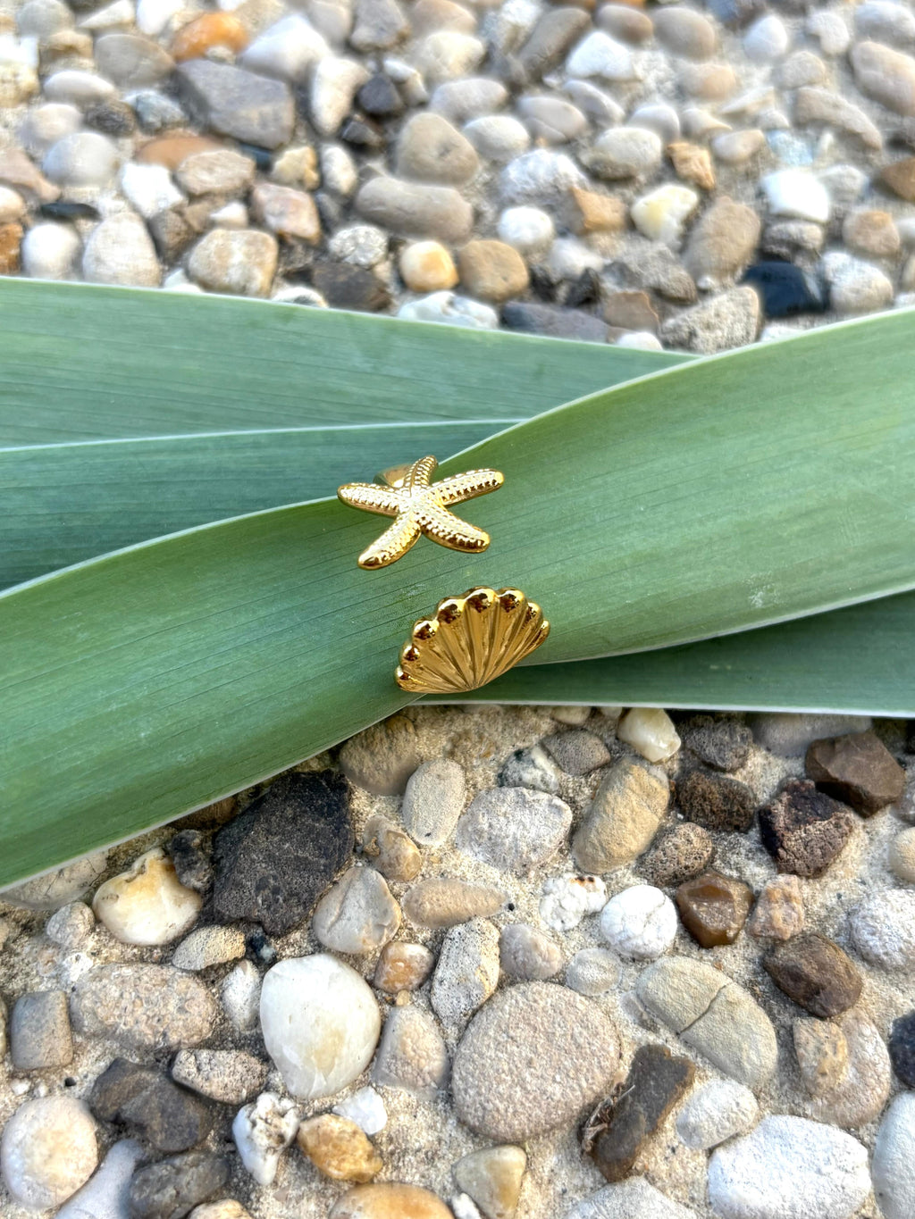Bague coquillage et étoile de mer ajustable