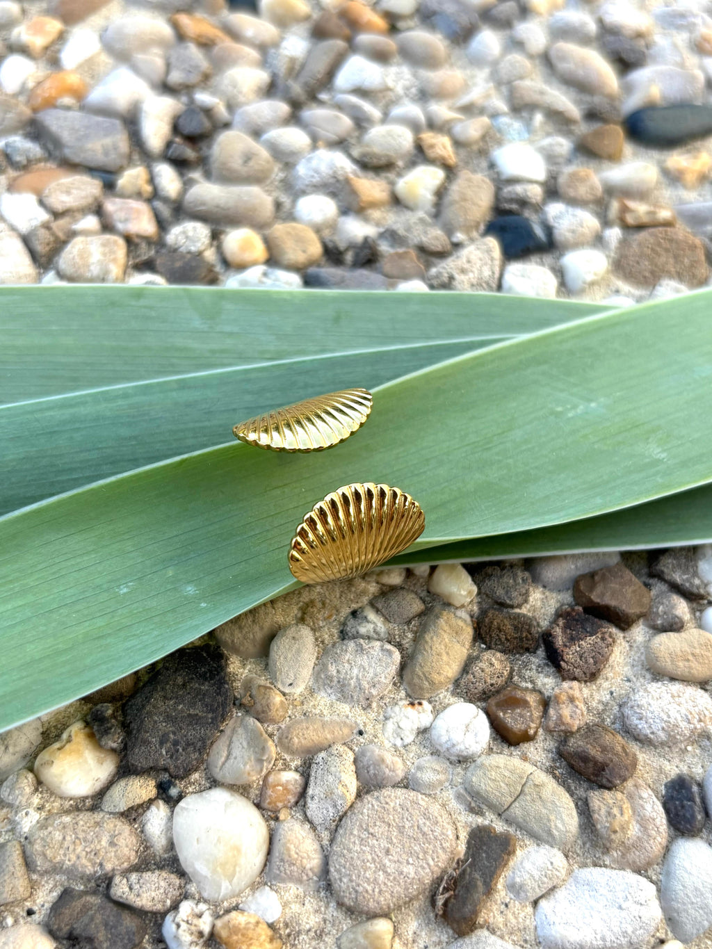 Bague coquillage ajustable