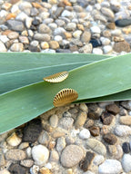Bague coquillage ajustable